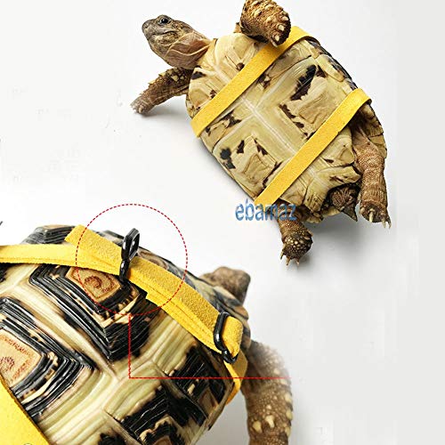 Ebamaz Leder Geschirr für Schildkröte mit Leine und Brusthalsband (Größe M)
