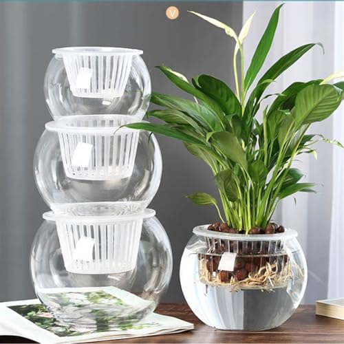 Pot de fleurs vase hydroponique en verre transparent compact - 6