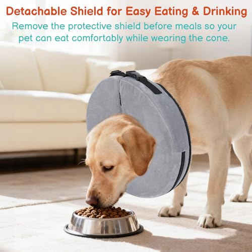 Image of Dog Cone, No-Inflation Sponge Donut Collar for Dogs After Surgery
