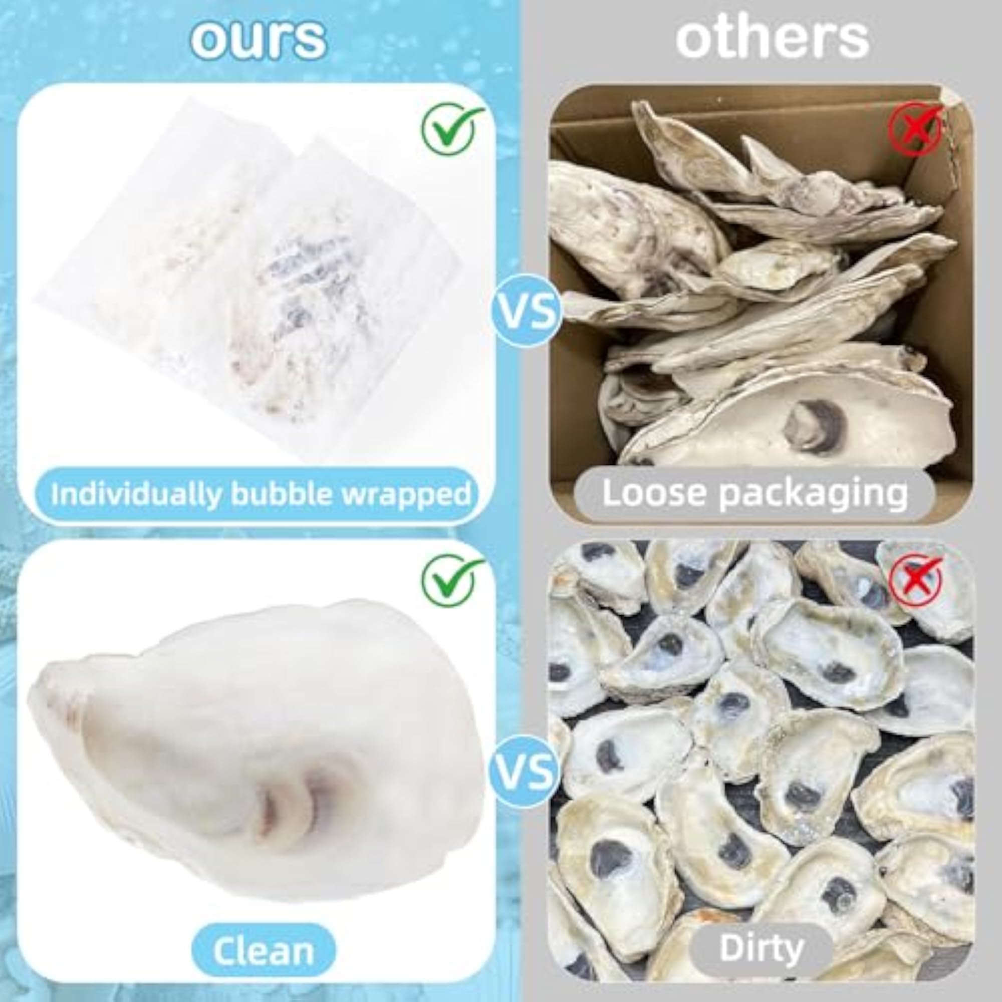 Extra Large Shells for Crafts, 12 Pcs Set