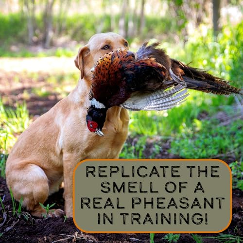 image for DogBone Pheasant Scent for Training Your Bird Hunting Dog | Pheasant H