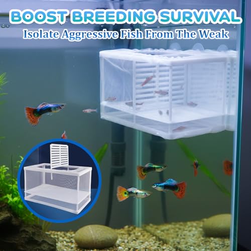 Image of 2 Pack Breeder Box for Fish Tank, Plastic Frame Breeding Box with Suction Cups, Fish Breeder Box for Aquarium, Mesh-Framed Fish Fry Incubator with Partitions