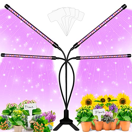 10 Best Grow Lights For Citrus Trees 2022 Reviews