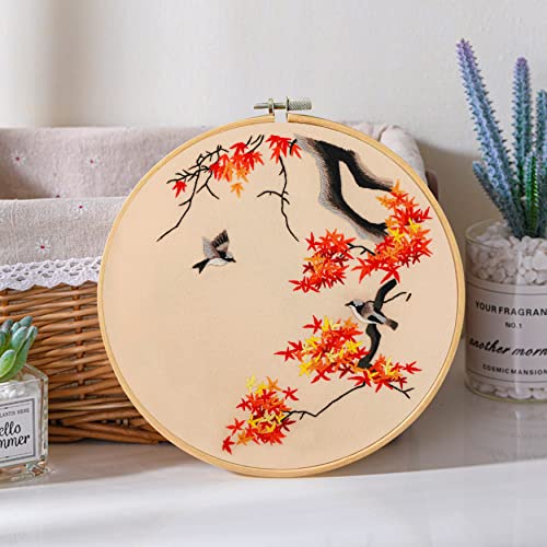 Image of Santune 3 Pack Embroidery Kit for Adults Cross Stitch Kits for Beginners with Bird Patterns,3 Instructions,1 Hoop,Threads and 6 Needles,Hand Needlepoint Sets for Women