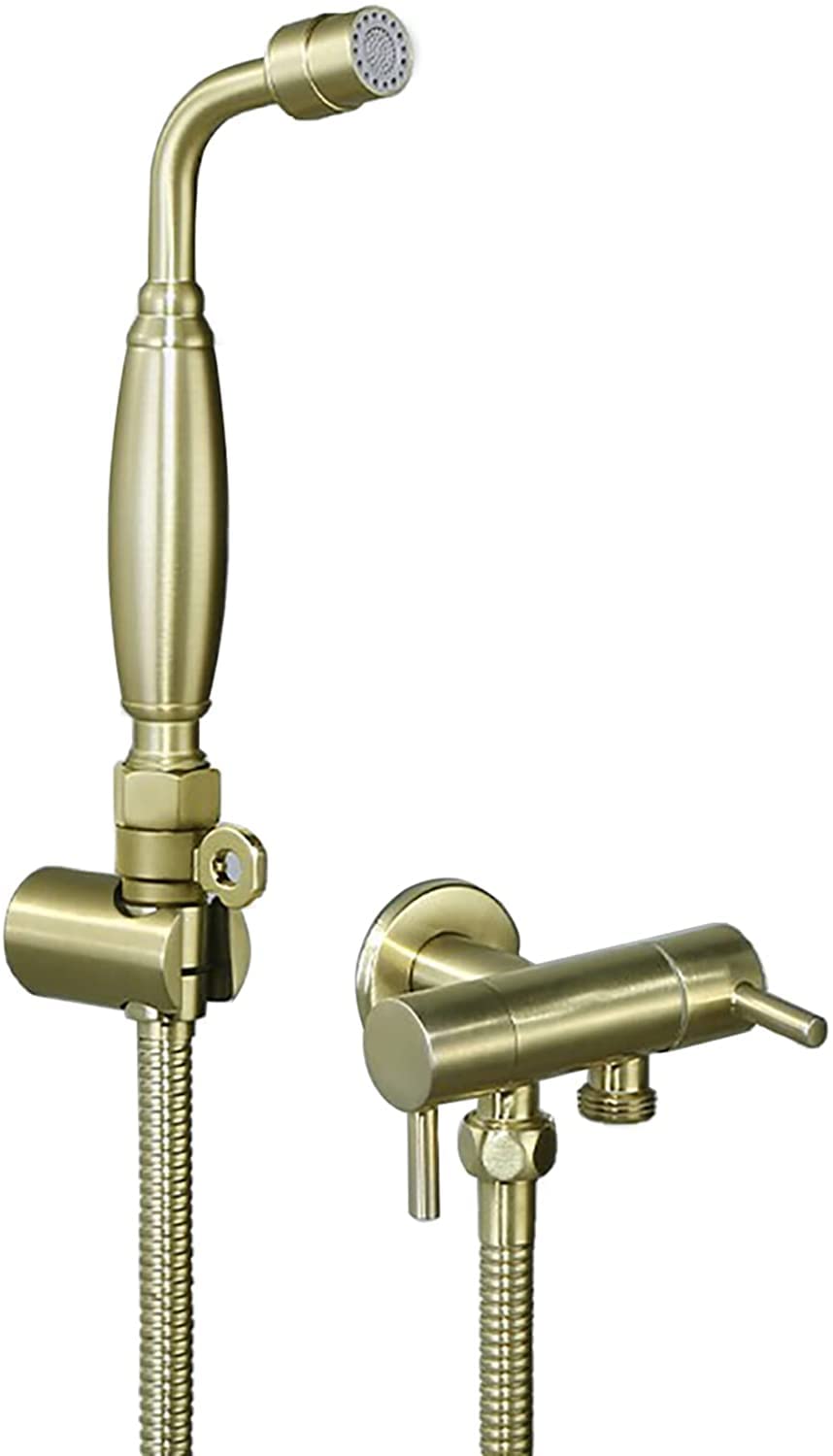 Pulvérisateur de toilettes froides kit mural 2 modes avec douchette WC laiton