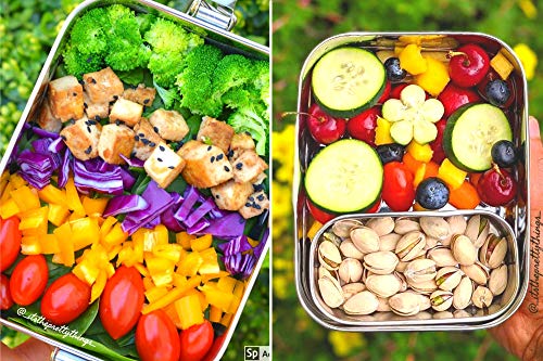 Ecozoi Stainless Steel Lunch Box, Leak Proof 1 Tier Eco Metal Bento Box | Bonus Pod And Redesigned Silicone Seal | Sustainable Zero Waste Eco Friendly Food Storage Container #TOP4