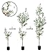 TDIAOL 6FT Artificial Olive Tree, Realistic Faux Tree with Leaves and Fruits for Indoor Home & Office Decor