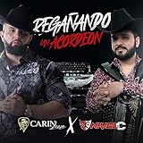  Regañando un Acordeón