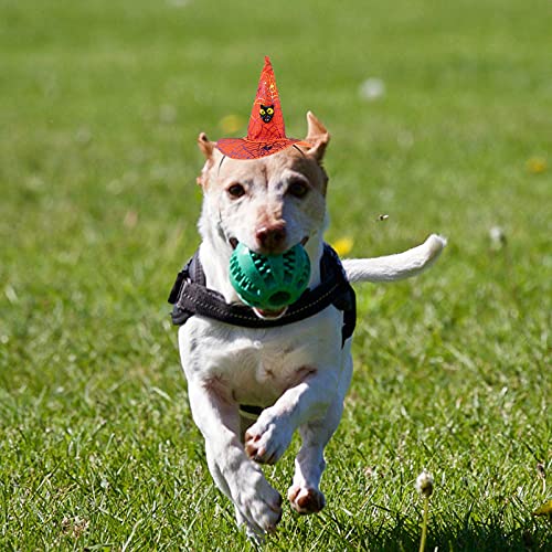 Disfraz Halloween Sombrero Hechicera para Mascotas miniatura 4
