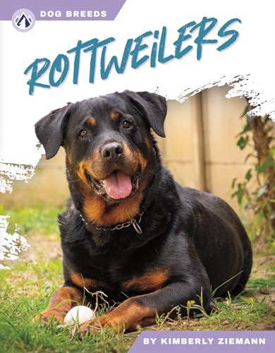 Rottweilers (Dog Breeds)