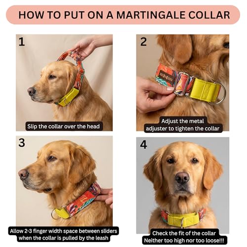 Image of Dog-O-Bow Cotton Red and Yellow Martingale Dog Collar, Durable, Comfortable & Adjustable Training Collar (Large)