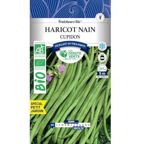 Les doigts verts Graines Haricot Nain Cupidon Bio 100g
