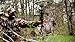 RMEF Cow Elk by Montana Decoy
