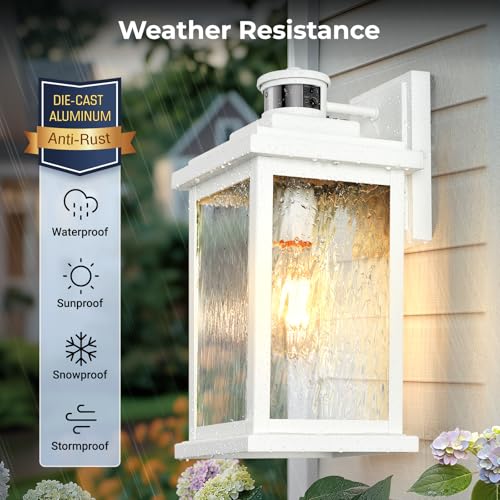 Image of VIANIS Large Adjustable Sensitivity Motion Sensor Exterior Porch Lights | Durable Anti-Rust Aluminum, Dimmable, White Dusk to Dawn Outdoor Lighting, Waterproof Front Porch Light for Garage Front Door