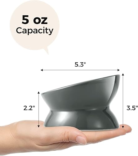 Miniatura 4 de LoeJan Cuenco elevado de comida para gatos, cuenco de cerámica elevado e inclinado de 5 onzas, antivómitos y protege las espinas de las mascotas