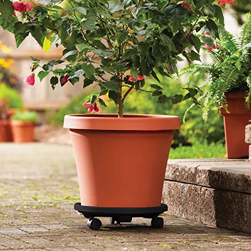 Bloem Round Planter Caddy with Wheels: 12", Black, Durable Plastic Dolly, 360 Degree Wheel Movement - Image 3