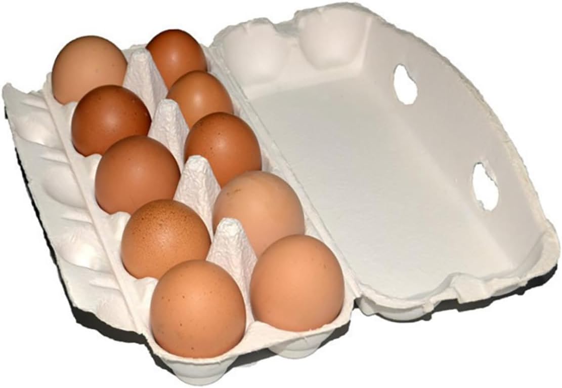 10pcs Pulp Storage Boxes Compartment Household Racks for Safe and Organized Refrigerator Storage White -saving Design