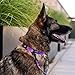 Wolfgang Heavy Duty, Adjustable Dog Collar with Quick Release Nylon Buckle for Walking & Training, Daydream Print, Large