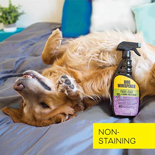 YAYA ORGANICS Dog Whisperer Tick + Flea Home Treatment Spray, Proven Effective, Plant-Based (24 ounces) - Image 6