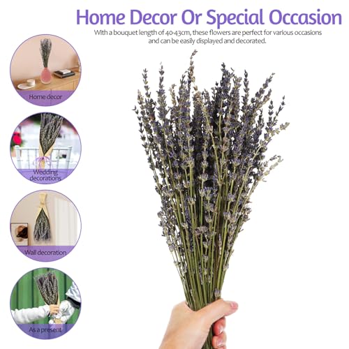Ramo de Lavanda Secada Artificial para Decoración miniatura 4