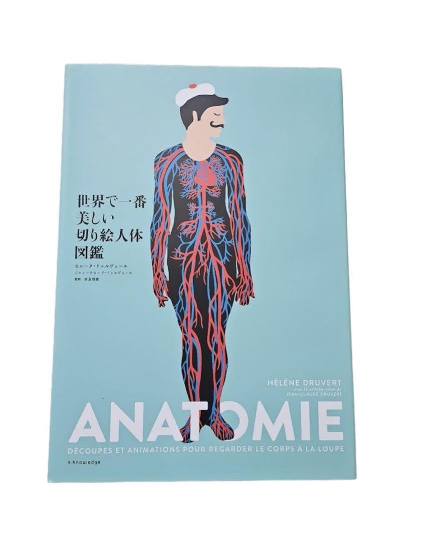 Amazon.co.jp: 世界で一番美しい切り絵人体図鑑 : おもちゃ