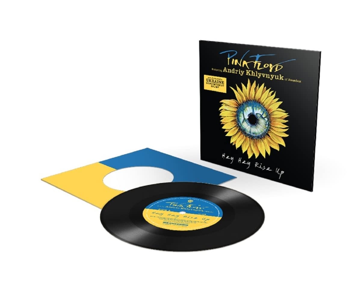 HEY HEY RISE UP [12" VINYL]