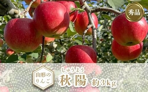 [2025年10月発送分先行受付]「秀品」山形のりんご(秋陽)約3kg_H167(R7)