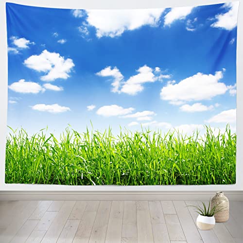 Fondo Fotográfico BELECO 10x8ft Tela Azul Cielo Naturaleza miniatura 5