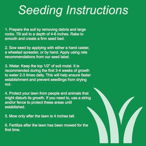 Grass Seed Blends For Sandy Soil And Beach Properties