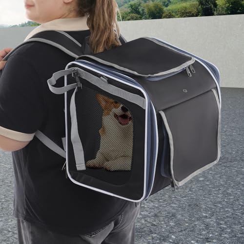 Apriltop 36 * 25 * 36cm Hundekorb Fahrrad Vorne bis 6,5 Kg, mit Kissen, Haustier Reisetasche mit Schulterriemen und Netzfenstern, für Katzen und Hunde, für Reisen, Radfahren, Wandern (Schwarz)