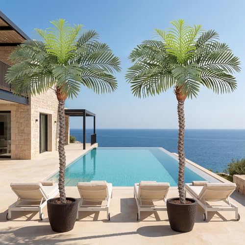Image of 6ft Tall Artificial Phoenix Palm Tree for Outdoor Indoor Decor, Large Faux Coconut Silk Palm Tree Tropical Fake Tree Perfect for Outside Patio Poolside Home Office Decor (Set of 2)