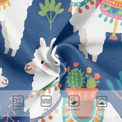 GuoChe Brief Panties Elastic Waistband Panties Briefs Underwear for Girls in Sizes 2T,3T, 4T, 5T, 6Y and 8Y3