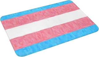 Transgender Pride Flag LGBTQ Oil Painted Doormat for Front Door Indoor Outdoor Door Mat Non_Slip Absorbent Waterproof Entrance Rug All_Season Patio Porch Kitchen Bath Mat
