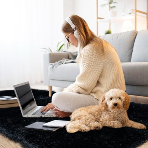 KING DARE Runner Rug 2x6 Black Rugs for Bedroom, Fluffy Shaggy Washable Plush Fuzzy Shag Non-Slip Soft Carpet for Dorm Bedside Hallways Girls Boys Kids Room Indoor Decor