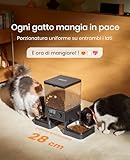 oneisall B0C772KDKT lato 3