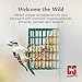 C&S Woodpecker Suet Treat, 11 Ounce, 8 Pack