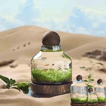 زجاجة الأسماك البيئية حوض السمك الزجاجي السحري الغلاف البيئي الصغير خزان الأسماك الشفاف وعاء السمك التدريس البيئي للأطفال الطلاب، أ