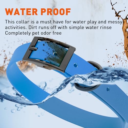 Image of Dogline Biothane Waterproof Dog Collar Strong Coated Nylon Webbing with Black Hardware Odor- Proof for Easy Care Easy to Clean High Performance Fits Small Medium or Large Dogs, Cerulean Blue