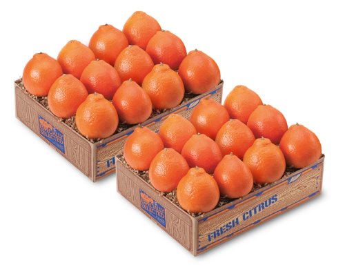Honeybell Deluxe-1 Tray