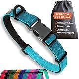 CONFORT MAXIMAL SANS FROTTEMENT : Protégez la peau de votre animal contre les irritations et le pelage emmêlé. Ce collier chien rembourré est doublé de néoprène doux et à séchage rapide. La technologie No-Chafe épouse le cou comme une seconde peau — idéal pour les chiens à peau sensible ou à poil dense