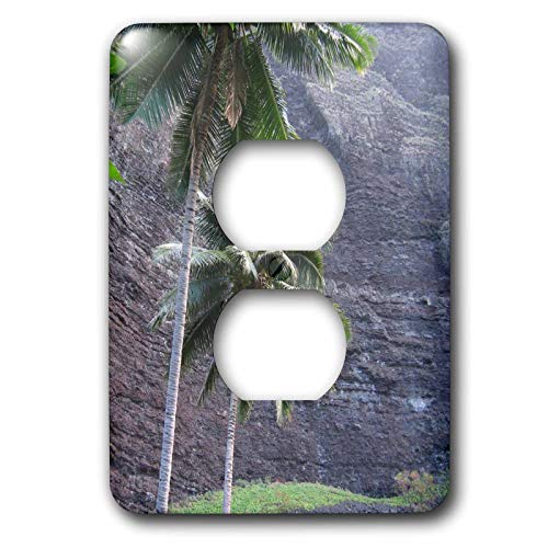 3dRose lsp_27427_6 Na Pali Coast Palm Trees of Hawaii Outlet Cover, multicolor
