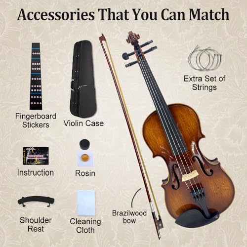 Professional Violin Beginner Full Size