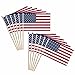 Flags Importer USA Dozen 12x18” Stick Flags, Multi