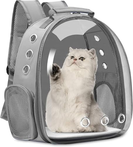 L L[obO Lp FDJvZ^ bNTbN  o ʋC e ϋv S ܂肽 pbht ybgL[obO LL[ Lp FDJvZ^ bNTbN sybgobO  o UVJbg