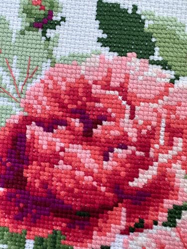 Image of RIOLIS - Tree Peony 1854, Floral Cross Stitch Kits 15,75 inch x15,75, Cross Stitch Kits for Beginners & Advanced, Crossstitching Kits Adult, Counted Stitching Kits, Flowers Embroidery Kit