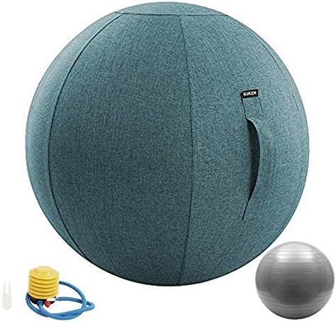 Guken Sitting Ball Chair with Cover, Exercise Elastic Yoga Ball for Office and Home Muscle Training Fitness Stability Ball with Pump and Handle (Blue, 65cm)