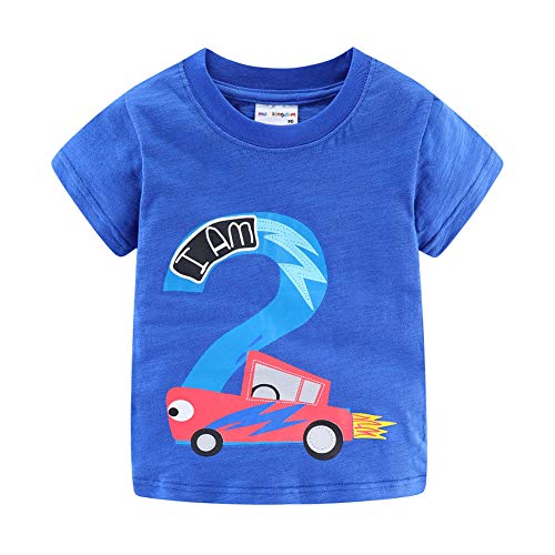 Image of Mud Kingdom Little Girls Birthday Shirt Long Sleeve Cute Cartoon