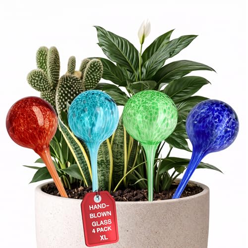 Premium Plant Watering Globes, Set of 4 (XLarge 350 ml) – Up to 7–10 Days of Aut...