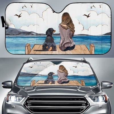 Parasol de coche contra el calor extremo protector parabrisas plegable M