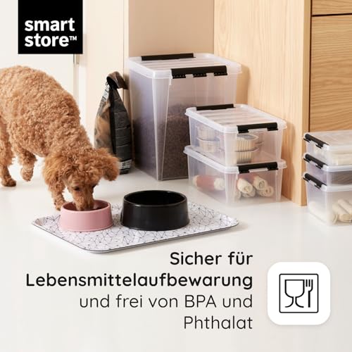 SmartStore Aufbewahrungsboxen mit Deckel, 31 l, transparent, 2er-Pack, verstärkt, 10 Jahre Garantie, lebensmittelecht, mit Clipverschluss, stapelbar, BPA-freier Kunststoff, 50 x 39 x 26 cm